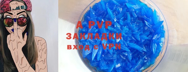 стаф Абинск