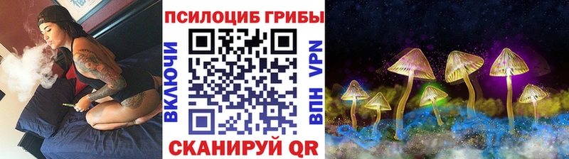 Галлюциногенные грибы Cubensis  blacksprut зеркало  даркнет официальный сайт  Пойковский 
